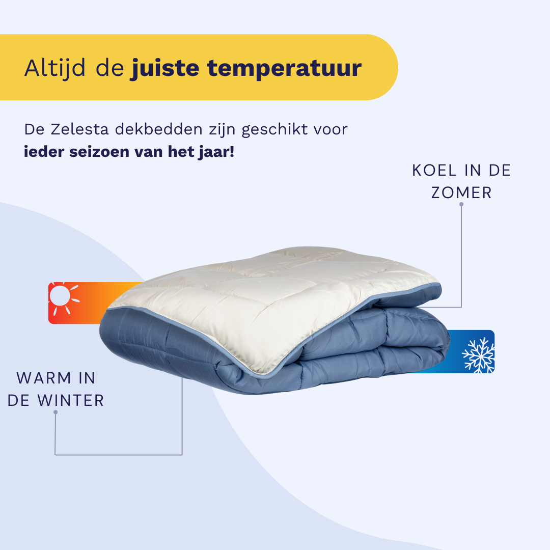 Zelesta CozyBed - Elegant Blue & Stylish Beige