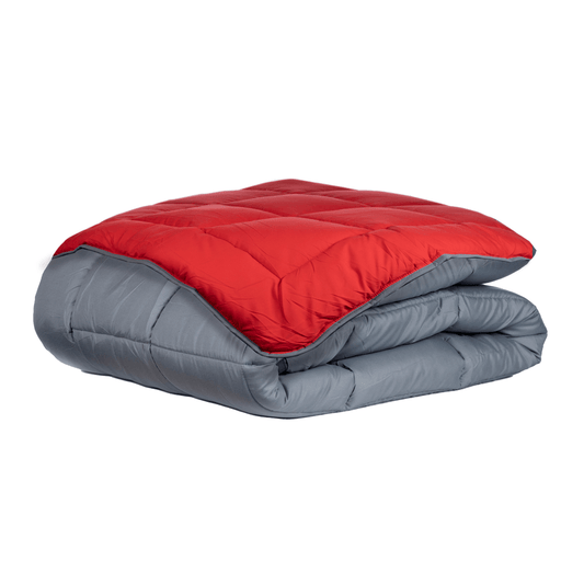 Zelesta Easybed - Chic Antracite & Vivid Red