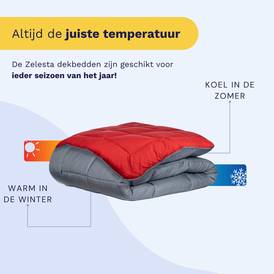 Zelesta Easybed - Chic Antracite & Vivid Red